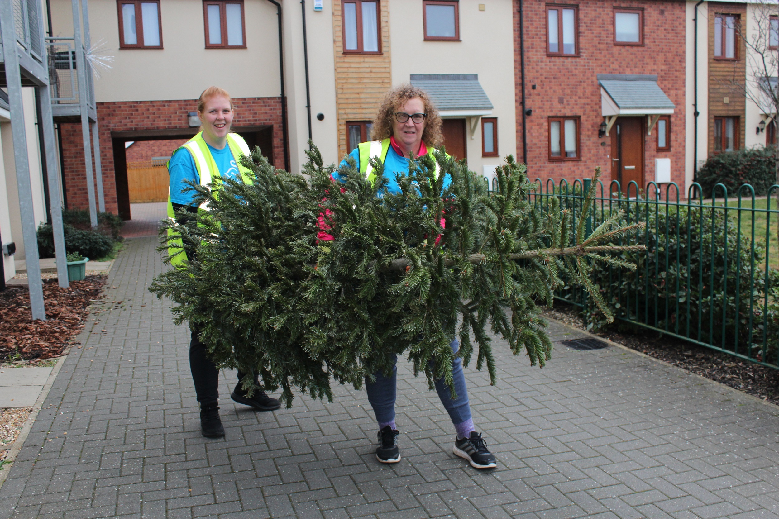 Willen Hospice doubles its Christmas tree recycling Milton Keynes