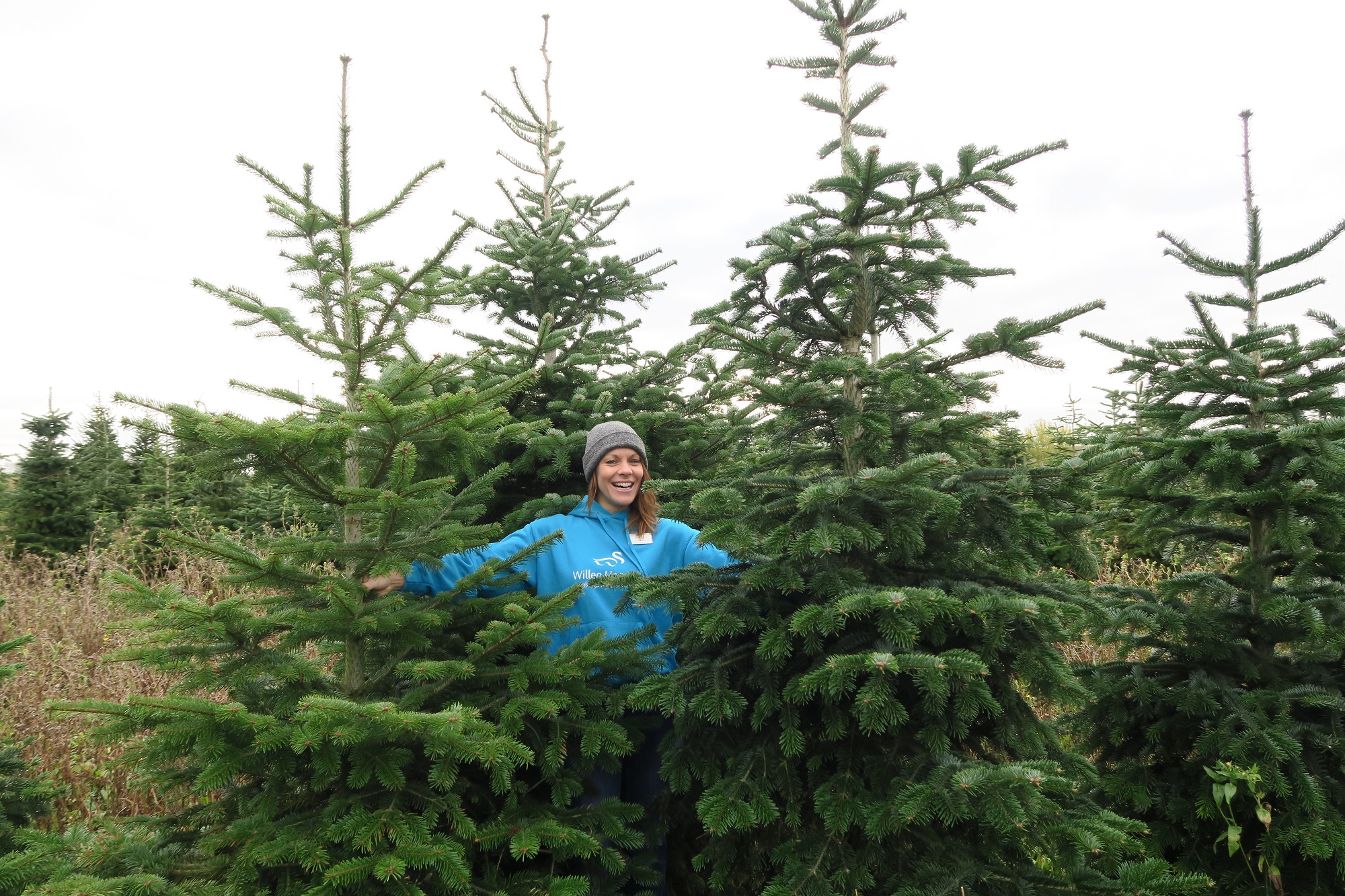 Recycle your Christmas Tree with Willen Hospice Milton Keynes Chamber