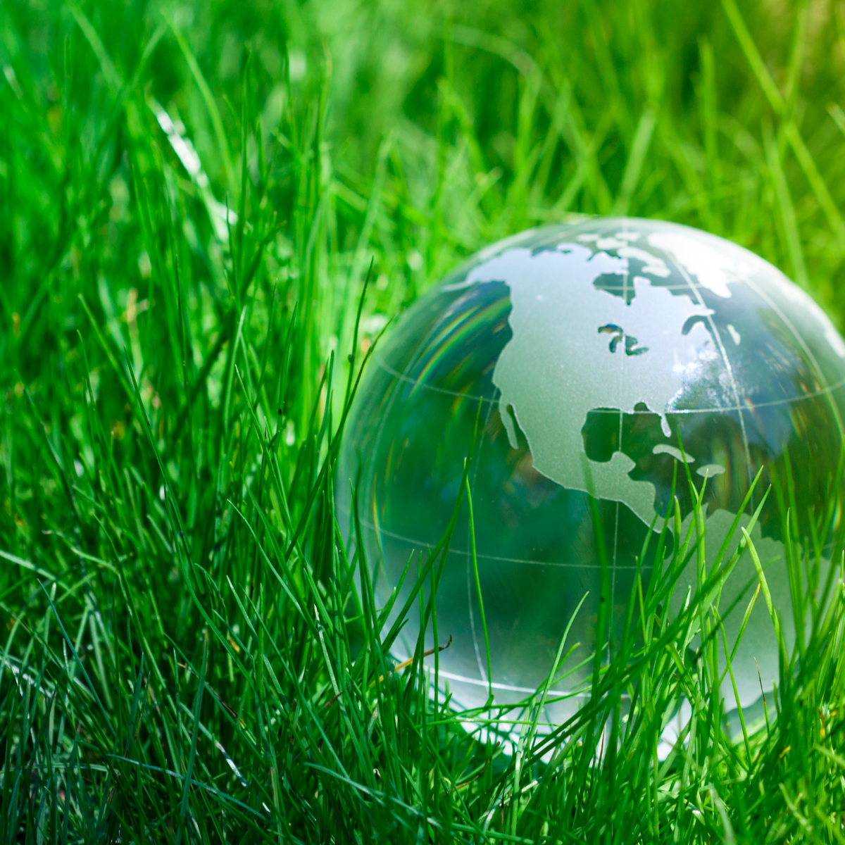 REMINDER: LESS THAN 3 WEEKS TO GO UNTIL THE IMMIGRATION SKILLS CHARGE INCREASE, AN EMPLOYER MANDATORY LEVY! | Northamptonshire Chamber of Commerce